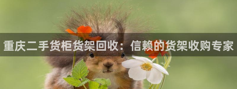 杏运体育app下载安装手机版