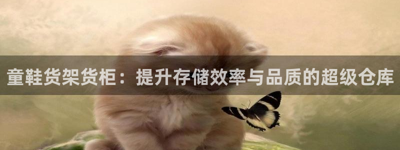 杏运娱乐平台注册地址在哪里：童鞋货架货柜