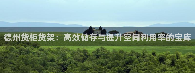 杏运代理：德州货柜货架：高效储存与提升空