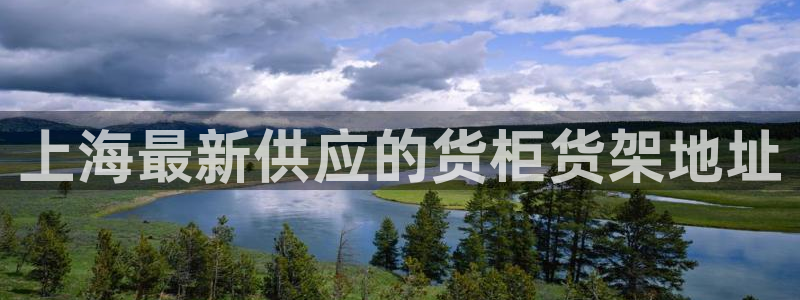 杏运汽车招商：上海最新供应的货柜货架地址