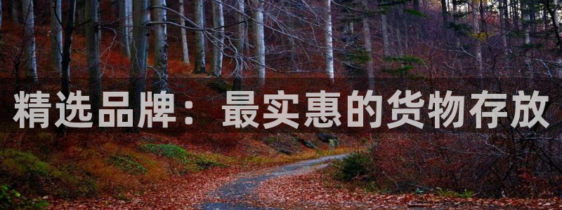 杏运体育平台正规吗安全吗：精选品牌：最实