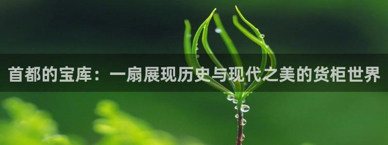 杏运汽车招商