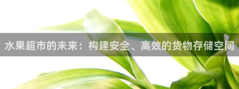 杏运汽车：水果超市的未来：构建安全、高效