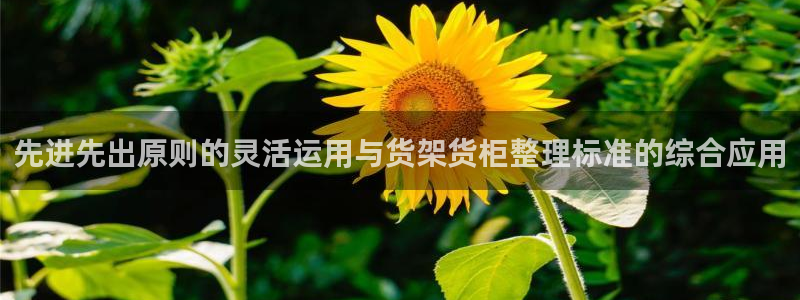 杏运平台注册：先进先出原则的灵活运用与货