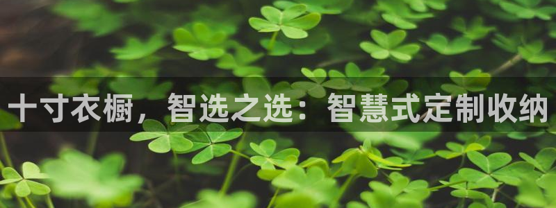 杏运平台代理：十寸衣橱，智选之选：智慧式