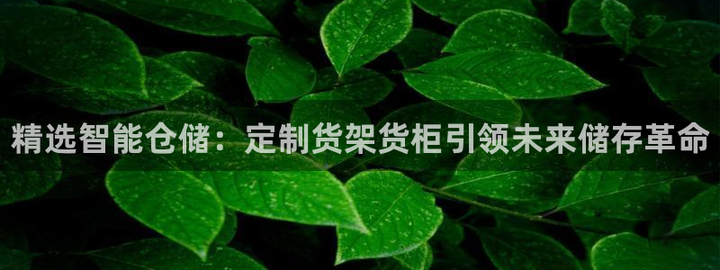 杏运体育app下载安装：精选智能仓储：定