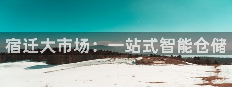 杏运注册：宿迁大市场：一站式智能仓储