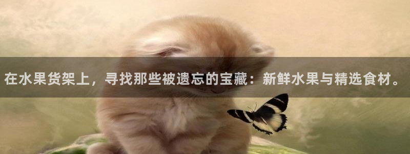 杏运注册登录：在水果货架上，寻找那些被遗