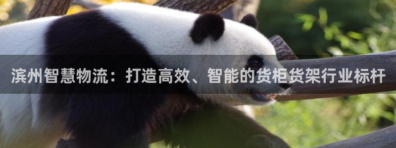 杏运体育不给出款