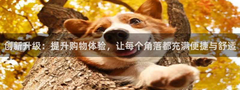 杏运娱乐平台注册地址在哪里