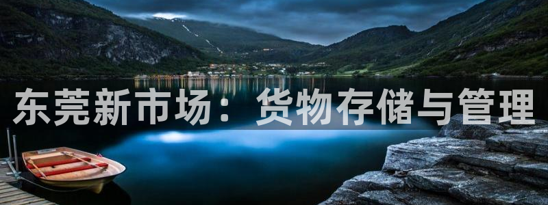 杏运注册：东莞新市场：货物存储与管理