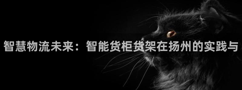 杏运体育：智慧物流未来：智能货柜货架在扬