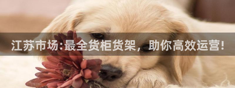 杏运注册登录地址